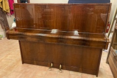 schölze lesk 100